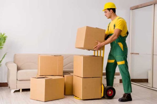 Worker loading cartons during a house shifting job